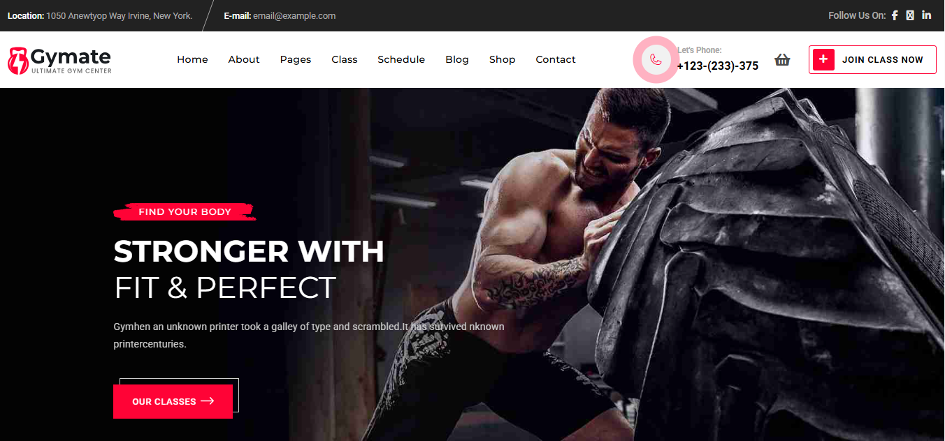 Fitness Demo Designs