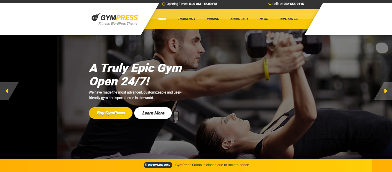 Personal Trainer Demo Designs